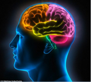 36365线路检测中心陆林教授课题组在《JAMA Psychiatry》 杂志报告消除烟瘾的新方法